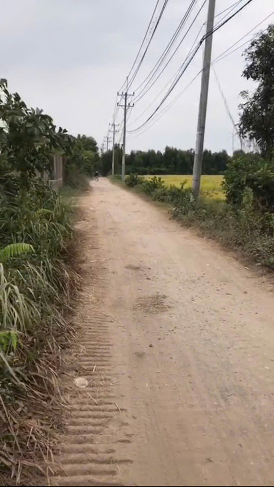 Nhà Vườn Nghỉ Dưỡng Giá Mềm – Quỹ Đất Lớn Hiếm Tại Tân Hiệp, Hóc Môn