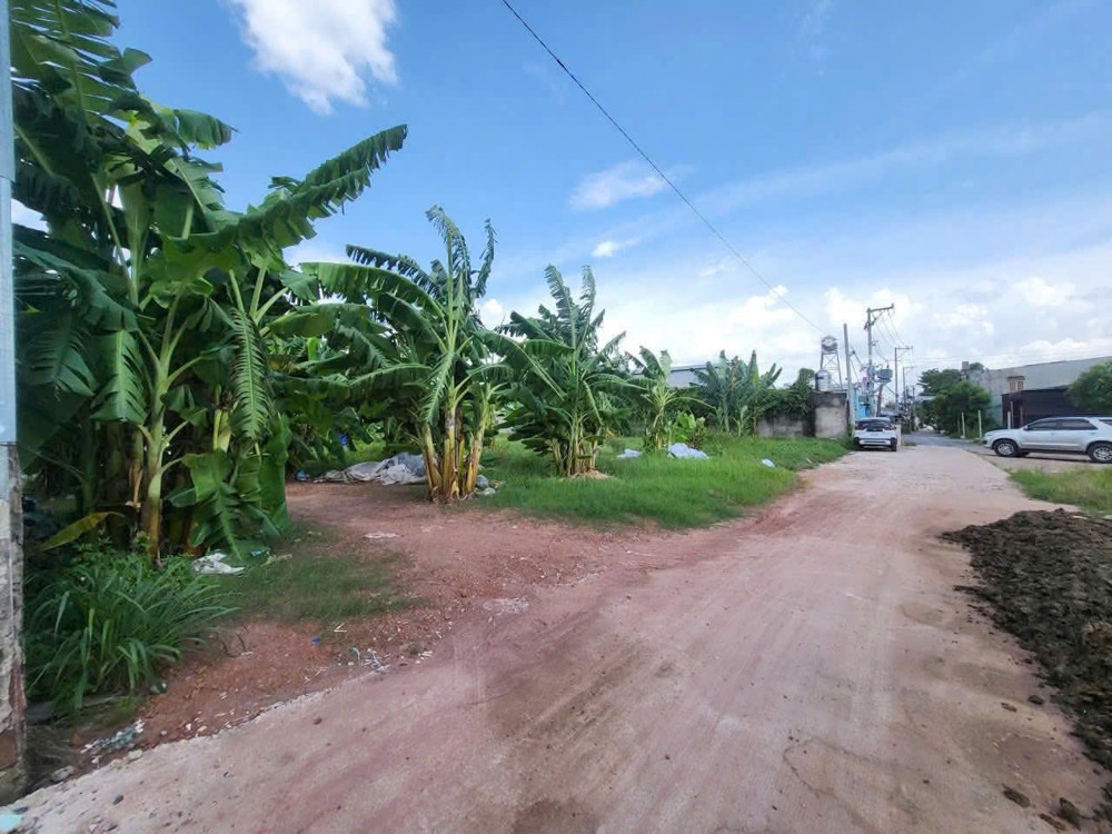 Quỹ Đất Lớn 6.300M² Gần Chợ Xuân Thới Thượng – Giá Chỉ 25 Tỷ