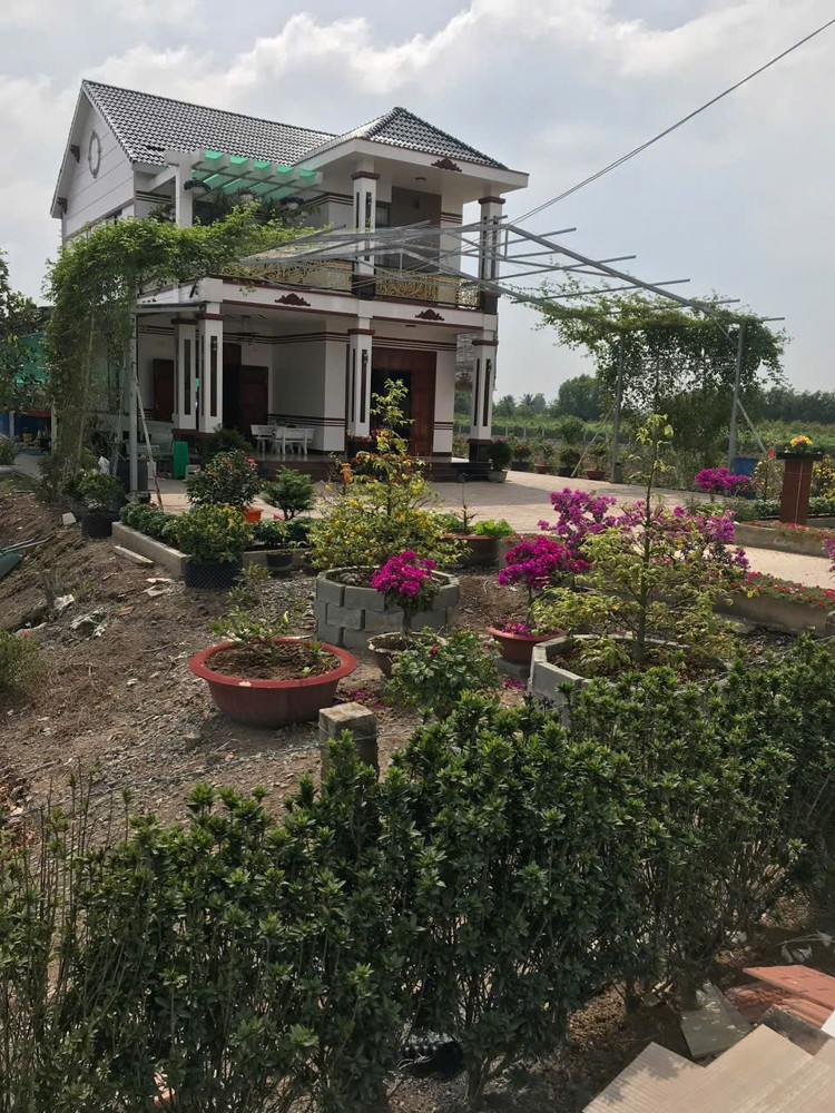 Siêu Phẩm Đầu Tư - Đất Vườn 1Ha - 2.000 Cây Mai - Lợi Nhuận Hấp Dẫn Xã Tân Thành, Thủ Thừa, Long An