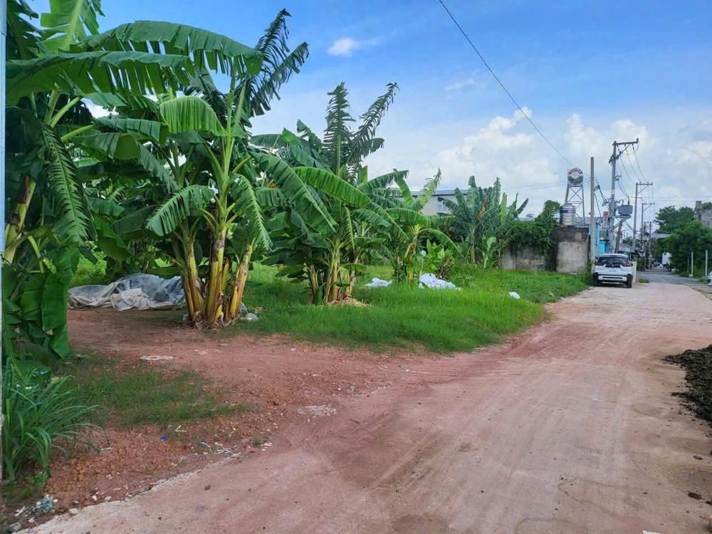 Quỹ Đất Lớn 6.300M² Gần Chợ Xuân Thới Thượng – Giá Chỉ 25 Tỷ