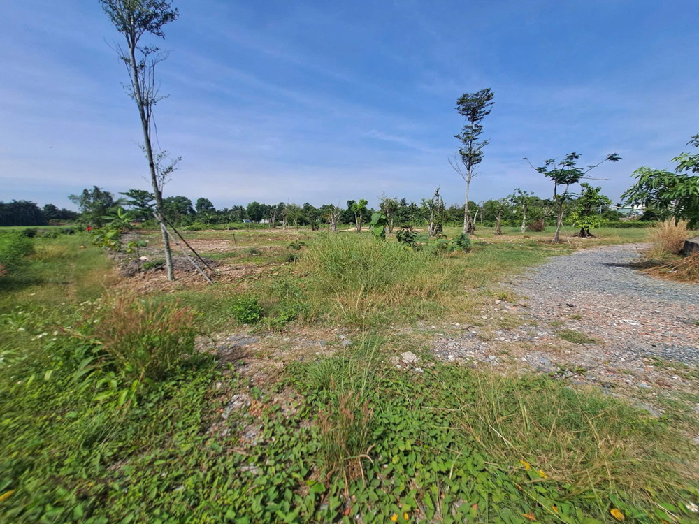 Chủ Ngộp Bán Gấp 2 Lô Đất Nhị Bình – Đường Xe Tải – Giá Cực Tốt