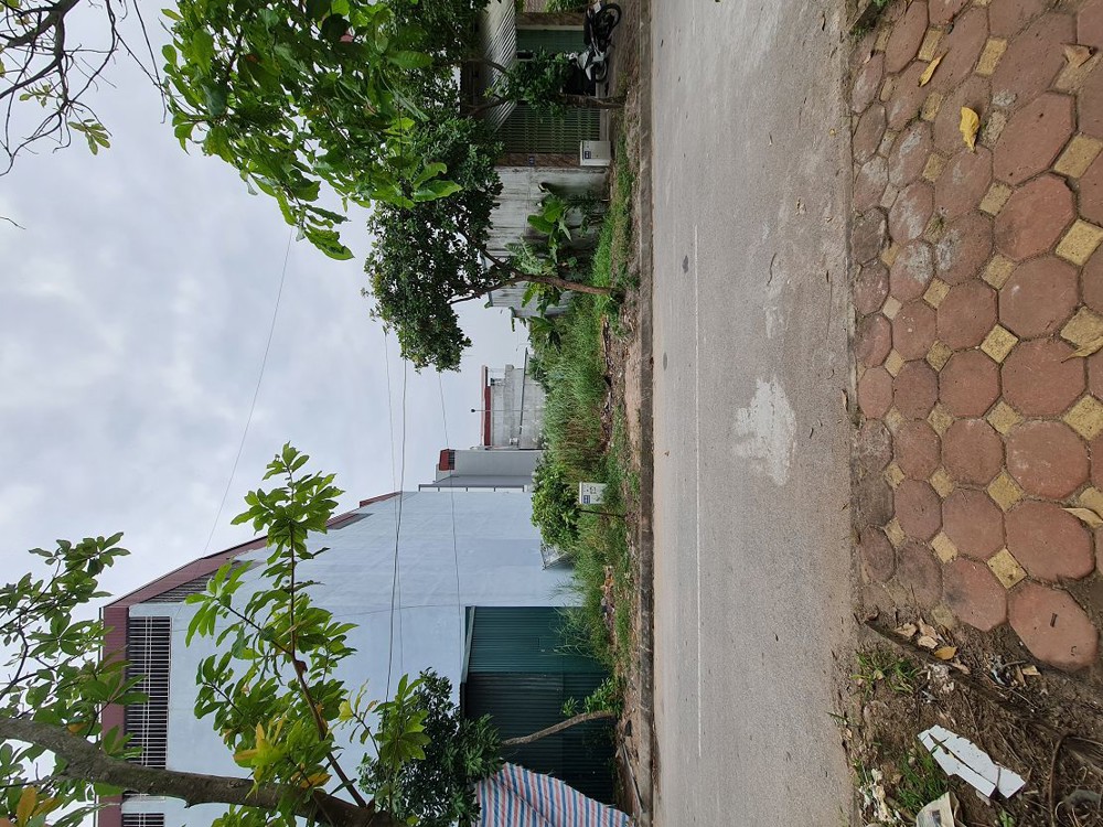 234M2 Kđg 31Ha Trâu Quỳ Gia Lâm Mt 12M Đường 15M Giá 3X Tỷ 0989894845