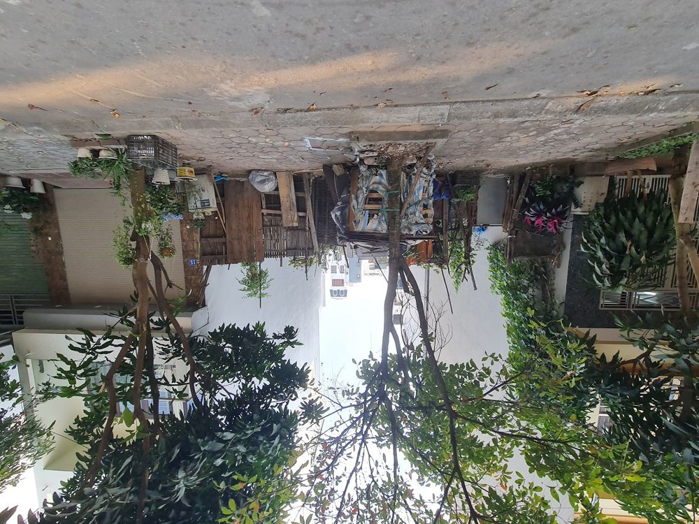 234M2 Khu Đấu Giá 31Ha, Trâu Quỳ, Gia Lâm. Mt 12M. Đường 15M. 3X Tiểu Học. Lh 0989894845