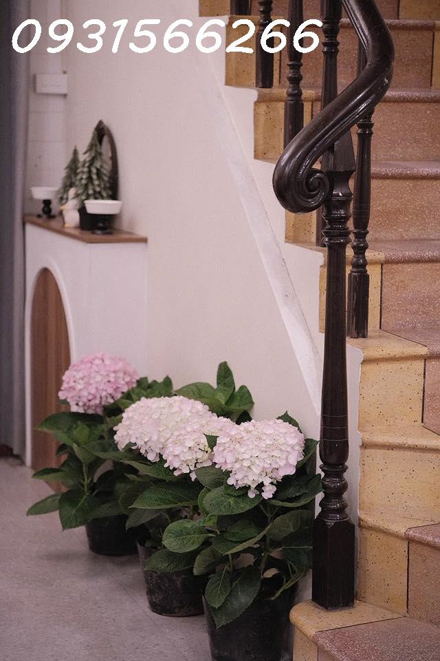 Sang Nhượng Quán Cafe Trà Sữa Có Vỉa Hè Tại Số 6 Kỳ Đồng, Hải Phòng