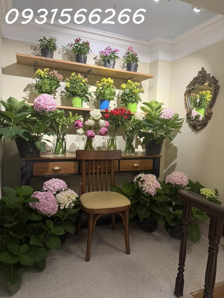 Sang Nhượng Quán Cafe Trà Sữa Có Vỉa Hè Tại Số 6 Kỳ Đồng, Hải Phòng