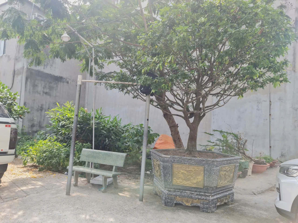 Bán Lô Đất Cực Đẹp,Shr Đường Nhựa 13M,Giáp Công Viên,Gần Vincom 550