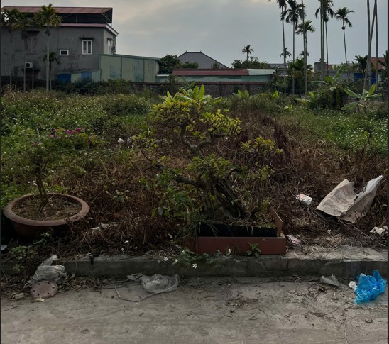 Bán Đất Phân Lô Phục Lễ – Thuỷ Nguyên – Ô Tô Vào Tận Nơi – Giá 1,5 Tỷ