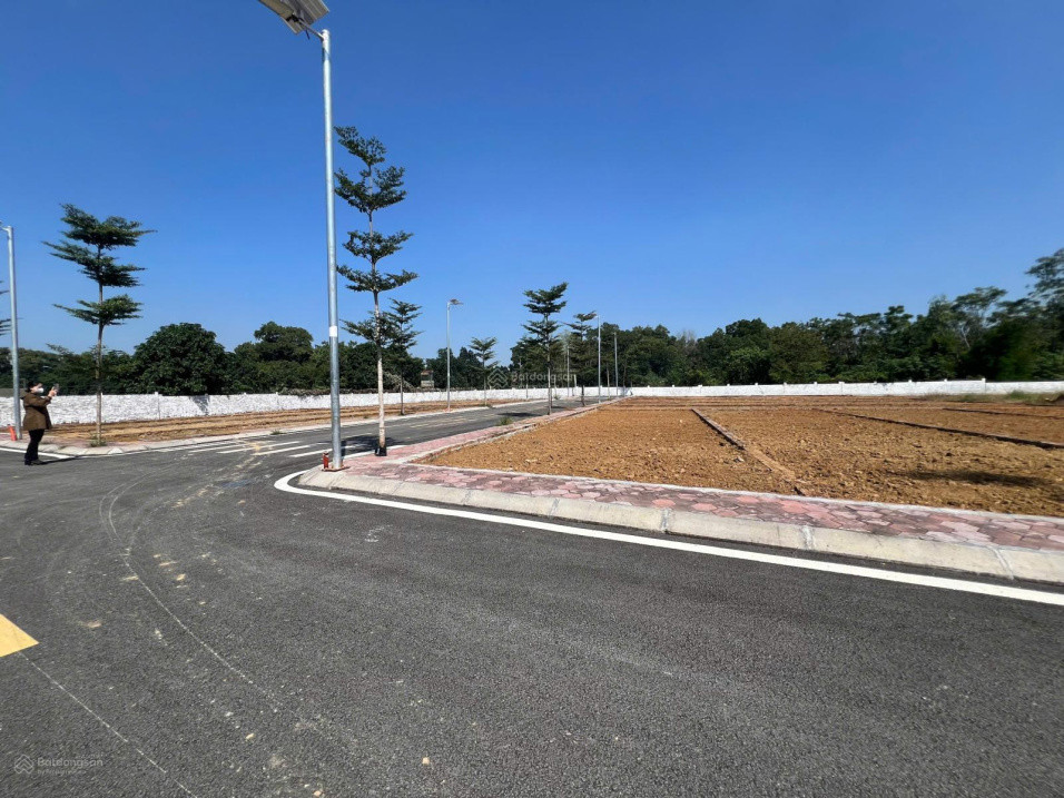 Siêu Phẩm Hiếm Có Đất Đẹp Phú Cát, Cách Tỉnh Lộ 446 Chỉ 100 M, Mặt Đường Lớn 8M