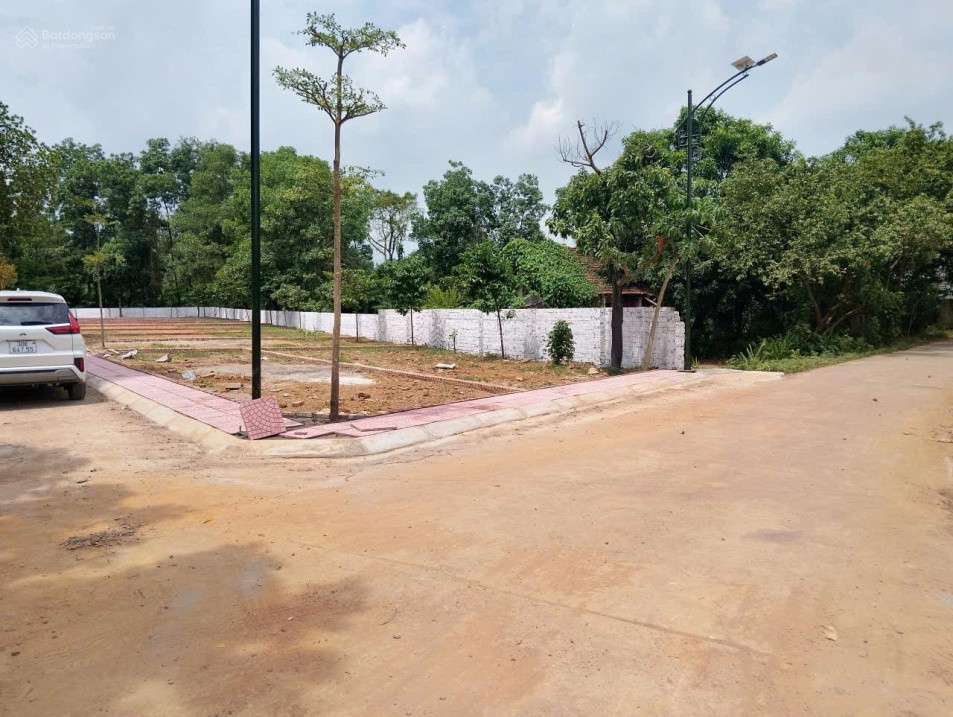 Siêu Phẩm Hiếm Có Đất Đẹp Phú Cát, Cách Tỉnh Lộ 446 Chỉ 100 M, Mặt Đường Lớn 8M
