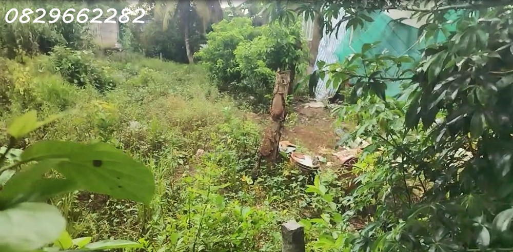 Bán Đất Sa Đéc 120M2 Đường Bà Lài, Sổ Hồng Hướng Đông Nam Chỉ 560 Triệu