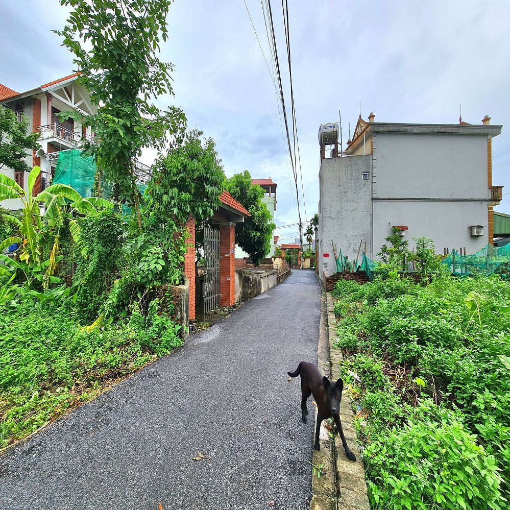 Bán Đất 60M2 Thuận An, Hà Nội, Mt 4M Ngõ Rộng Gần Trục Chính 0989894845