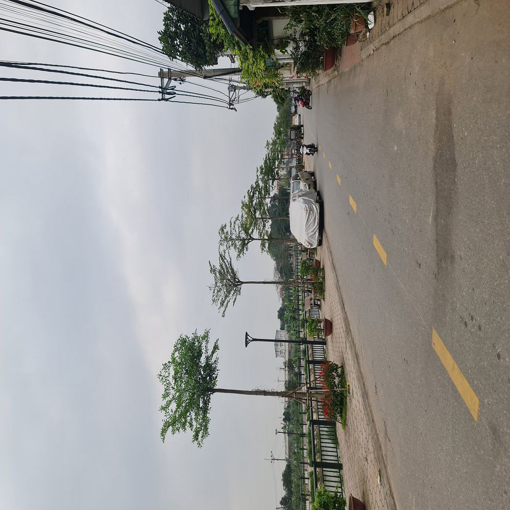 Dương Quang, Gia Lâm 58M2, Mt 3,9M Chỉ 3 Tỷngõ Rộng Gần Trục Chính 0989894845