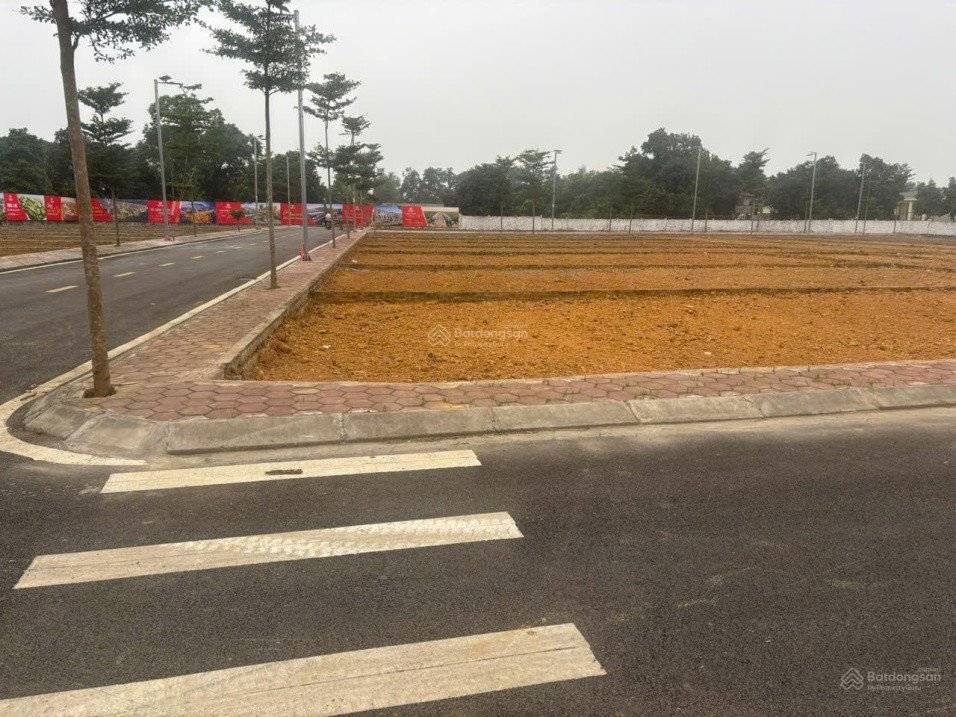 Phú Cát Trái Tim Đô Thị Hòa Lạc!