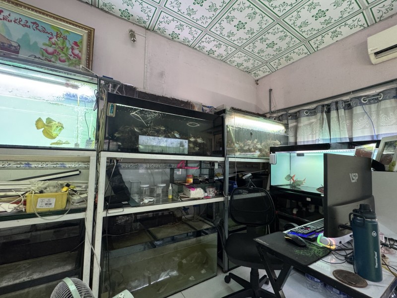 Bán Nhà Đường Số 9, Phường Linh Xuân, Thủ Đức, Tp Hcm. Dt 82M2, Sổ Hồng, 5.1 Tỷ