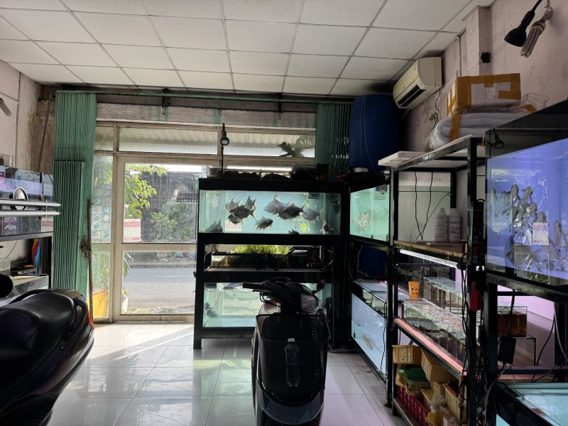 Bán Nhà Đường Số 9, Phường Linh Xuân, Thủ Đức, Tp Hcm. Dt 82M2, Sổ Hồng, 5.1 Tỷ