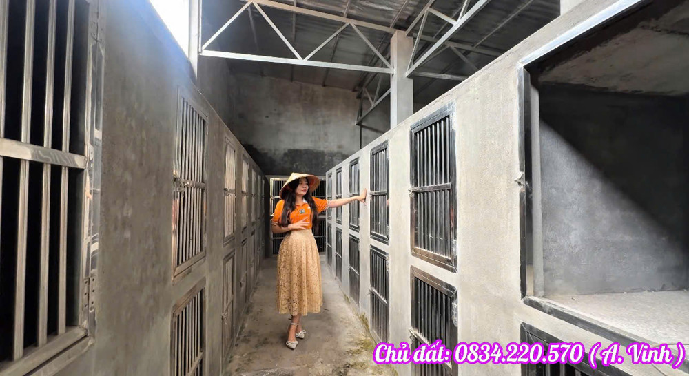 Bán Lỗ Hơn 1 Tỷ – Nhà Kho 1.073M² Gần Vành Đai 4 – Củ Chi – Giá 5,6 Tỷ (Tl)