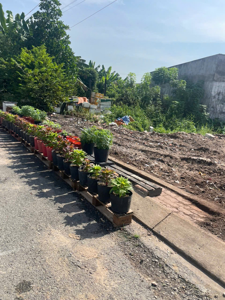 Đất Đông Thạnh (5X25.5), Hxh, Đường Nhựa Đẹp. Shr Công Chứng Ngay!