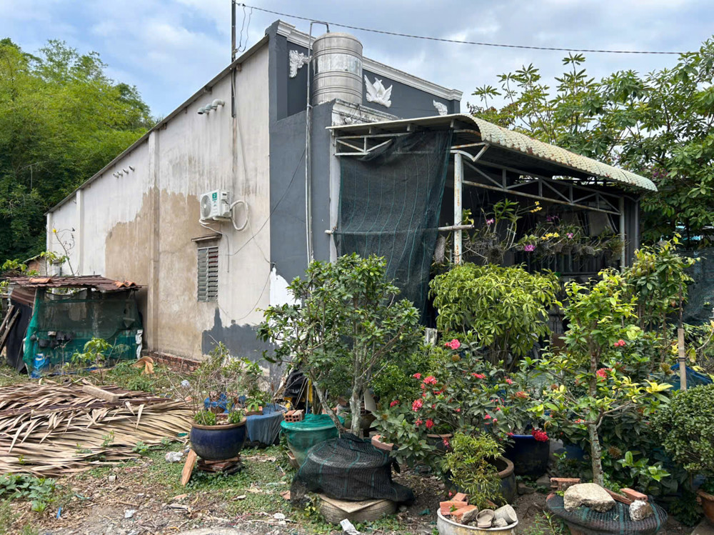 Bán Nhà Cấp 4 Kiên Cố – Hẻm Xe Hơi – Giá Tốt Khu Long Phước