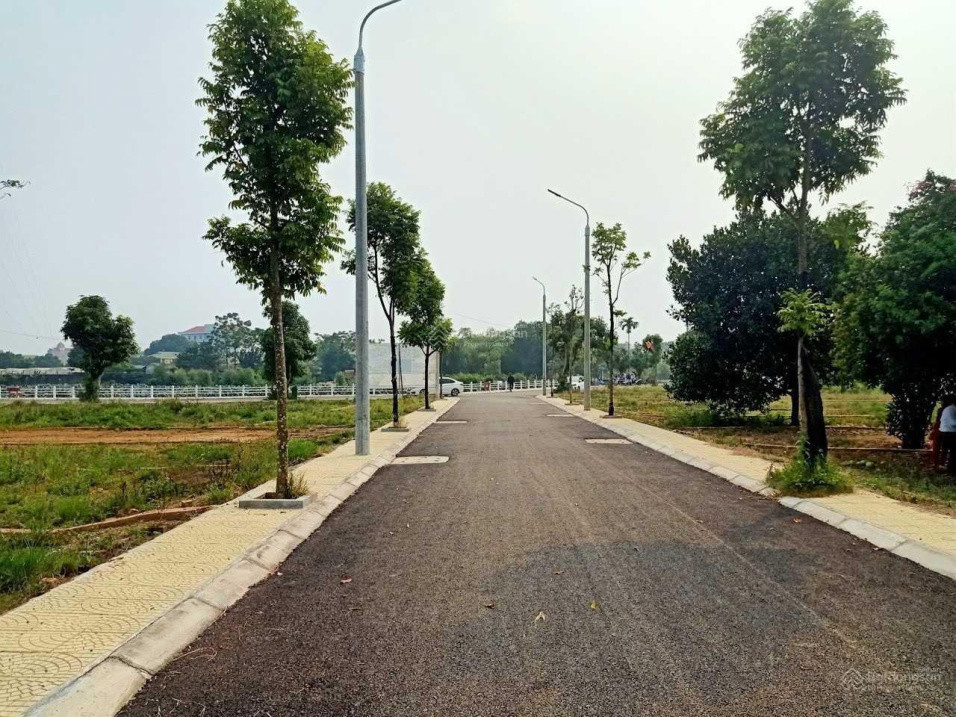 Chủ Cần Bán Gấp Lô Đất 100M2 Mặt Tiền 5M, Cạnh Ubnd Xã Hạ Bằng Mới Giá Nhỉnh 3 Tỷ