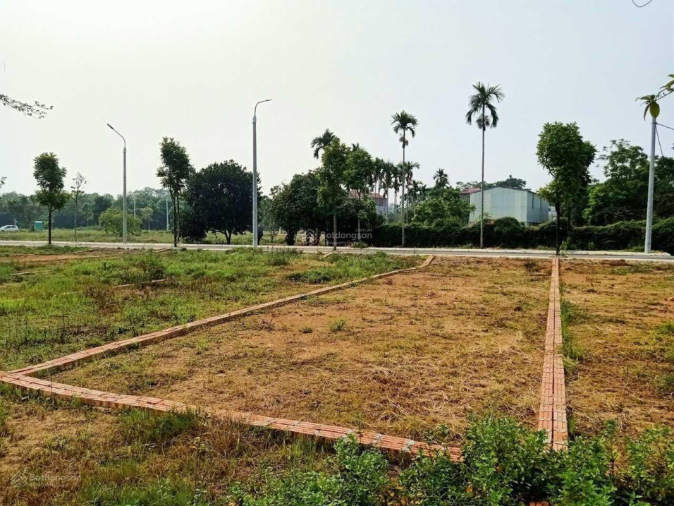 Chủ Cần Bán Gấp Lô Đất 100M2 Mặt Tiền 5M, Cạnh Ubnd Xã Hạ Bằng Mới Giá Nhỉnh 3 Tỷ