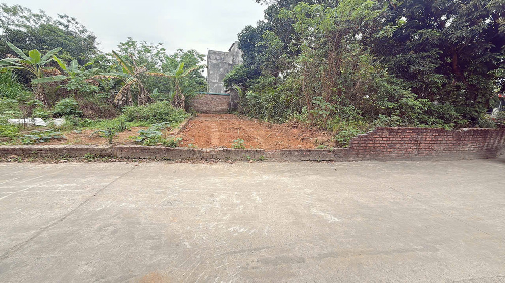 Chục Chính Kinh Doanh Tại Xuân Đồng Tân Mimh -Xã Sóc Sơn Thành Phố Hn - Diện Tích 103,8 M -Khuôn