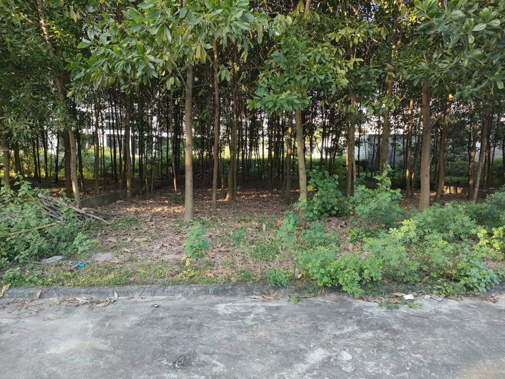 Chính Chủ Bán Gấp Lô Đất Có Dt: 338,8 M Full Thổ Cư