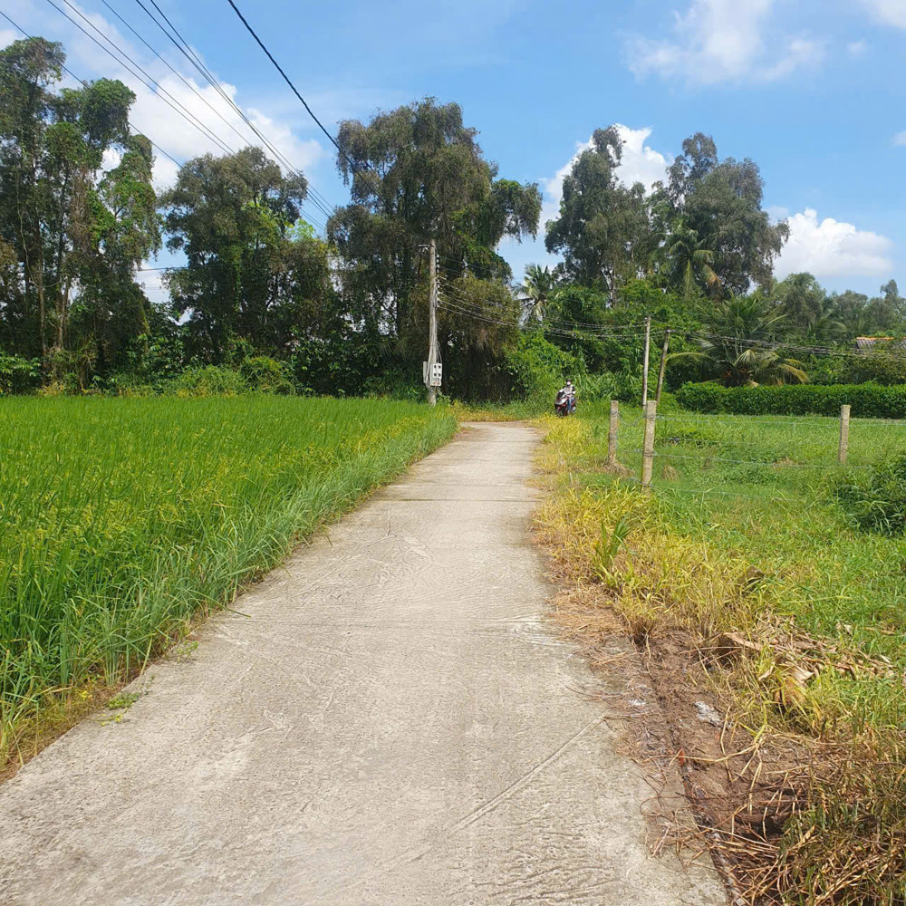 Bán Lô Đất Lúa Xã Tân Trụ Giá 5 Tỷ