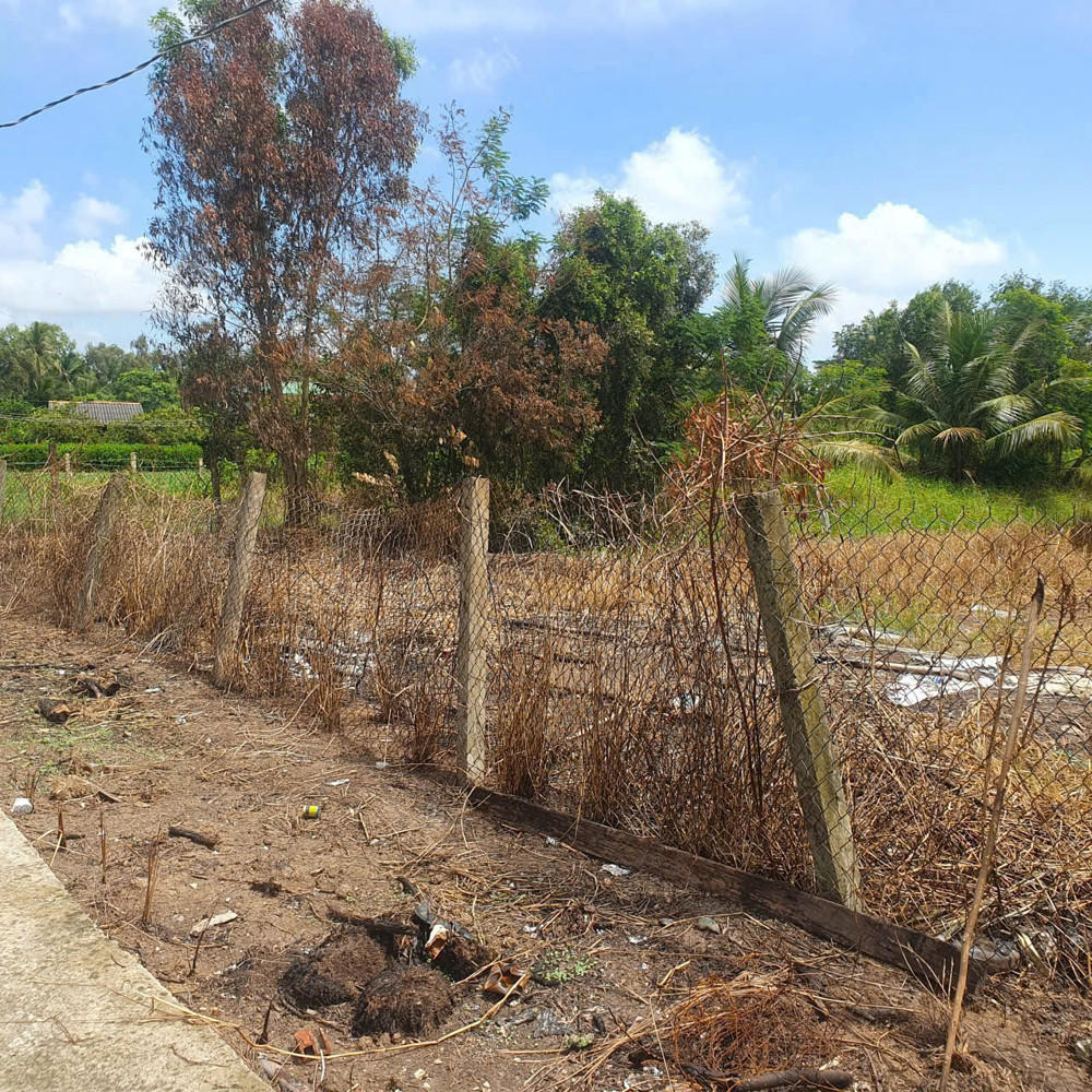 Bán Lô Đất Lúa Xã Tân Trụ Giá 5 Tỷ