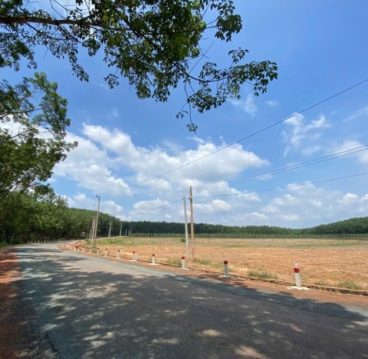 Gấp Gấp - Tôi - Chính Chủ Cần Bán Gấp Lô Đất Giá Siêu Tốt Vị Trí Tại Huyện Đồng Phú, Tỉnh Bình