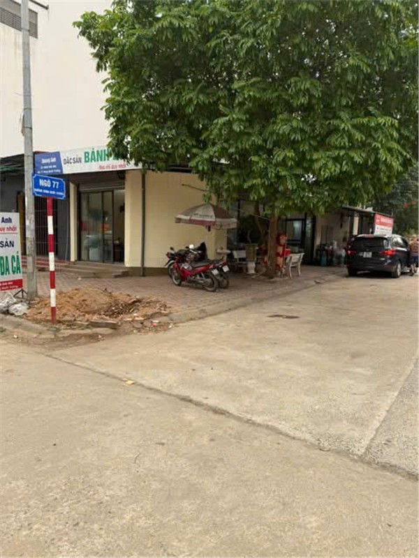 Đất Đẹp - Chính Chủ Cần Bán Đất Kđt Đồng Gia, P. Việt Trì (Khu Trung Tâm Của Tp. Việt Trì) Phú Thọ