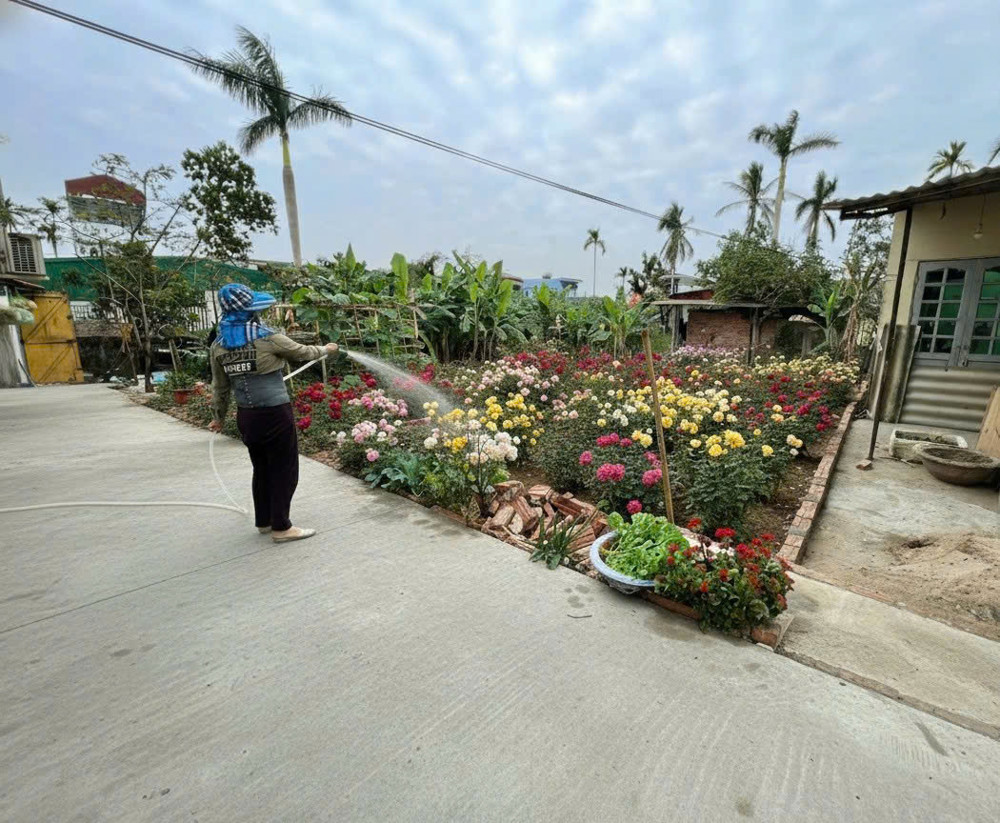 Bán Đất Ngõ 172 Cát Linh – Tràng Cát – Ô Tô Vào Tận Nơi – Giá 23Tr/m²