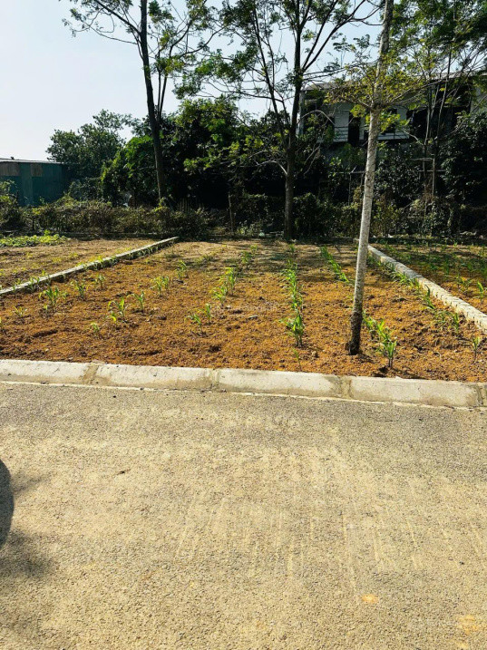 Hc2 - Bán Đất Nền Phú Cát - Lõi Đô Thị Hòa Lạc, Sát Chợ Gần Trường Học Gần Nhà Máy In Tiền Quốc Gia