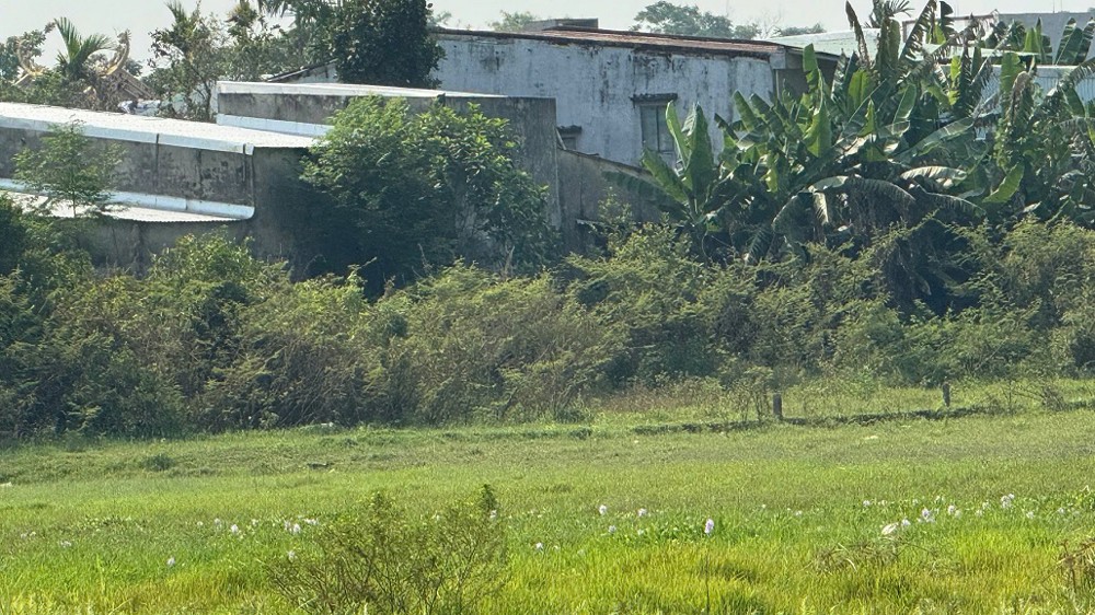 Bán Đất Đẹp – View Cánh Đồng Quan Châu, Hòa Xuân – Đà Nẵng