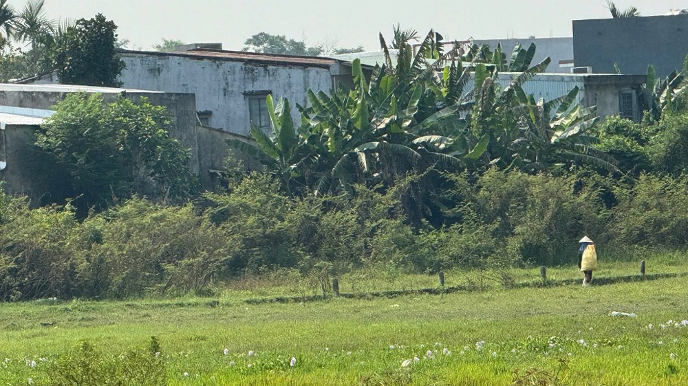 Bán Đất Đẹp – View Cánh Đồng Quan Châu, Hòa Xuân – Đà Nẵng