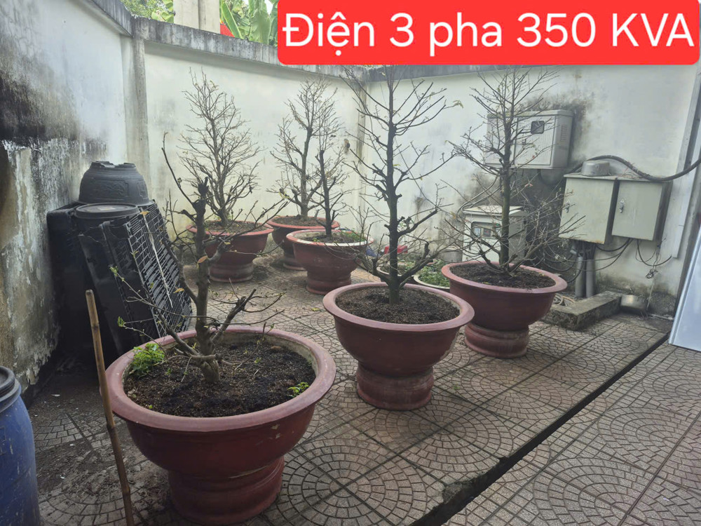 Bán Nhà Xưởng Bình Mỹ – Củ Chi – Dòng Tiền 50Tr/tháng Chỉ Nhĩnh 17Đ