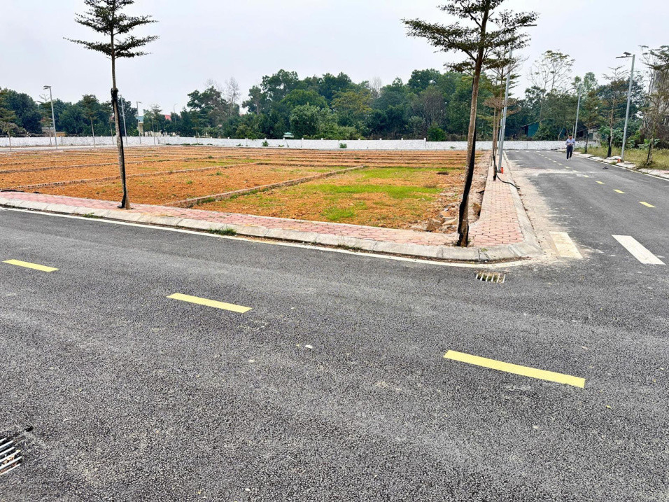 Đất Nền Phú Cát - Đầu Tư Lộc Phát