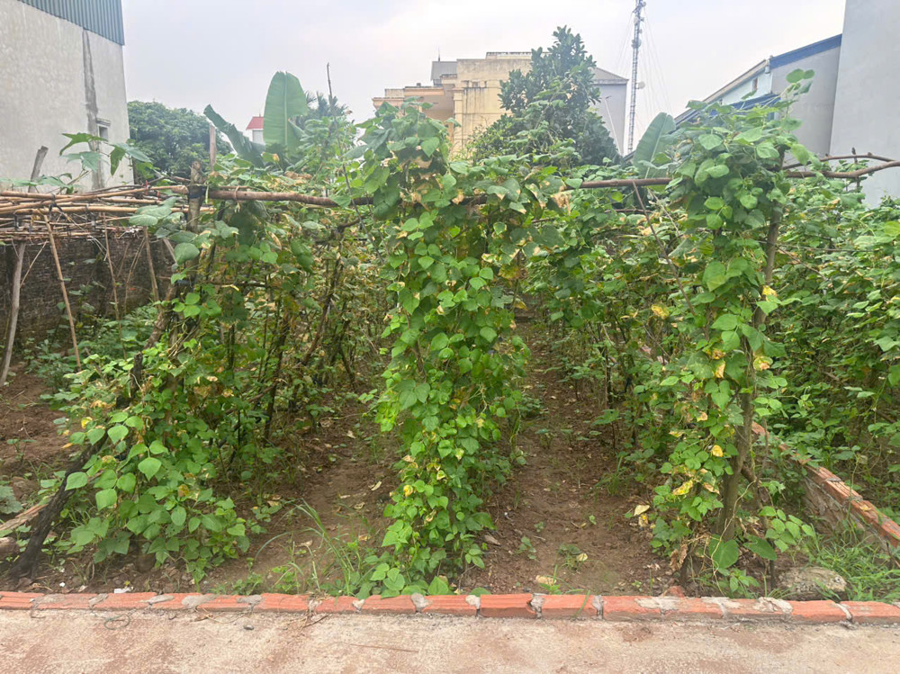 Đắc Sở 45M Ô Tô Vào Đất - Sát Vành Đai 4