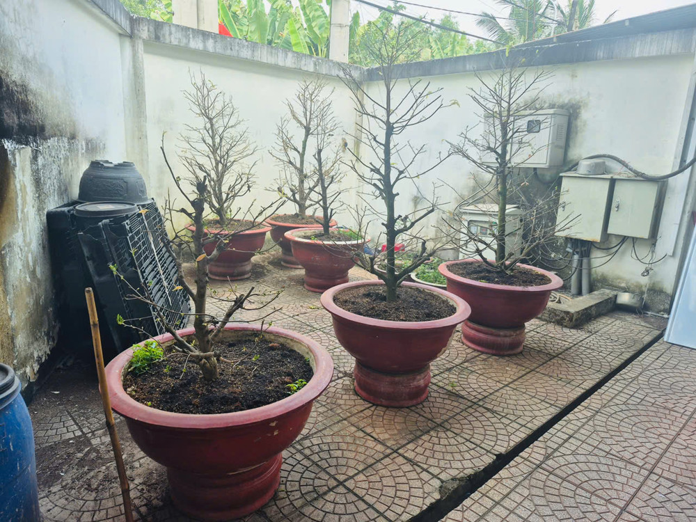 Chủ Kẹt Gấp Giảm Chào Giá Mới – Nhà Xưởng Bình Mỹ Chỉ 17.X Tỷ