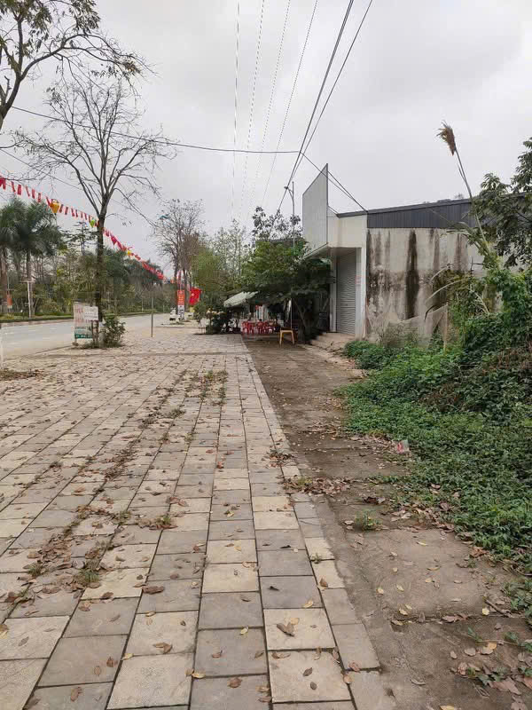 Chuyển Nhượng 2 Lô Đất Vip Liền Kề Vt1 Đường Âu Cơ