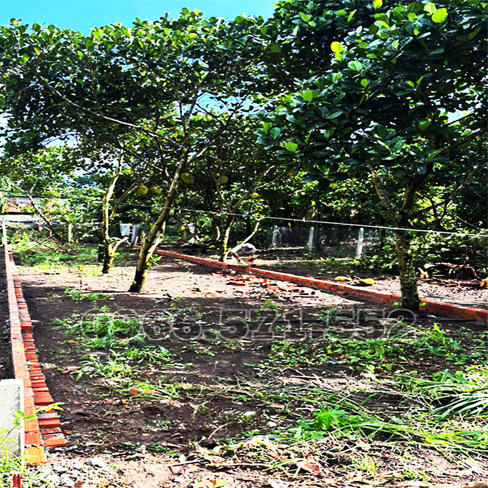 210M² Thổ Cư, Ngay Chợ Hàm Nghi – Tp Long Khánh – Đn. Cơ Hội X2,3 Tài Sản