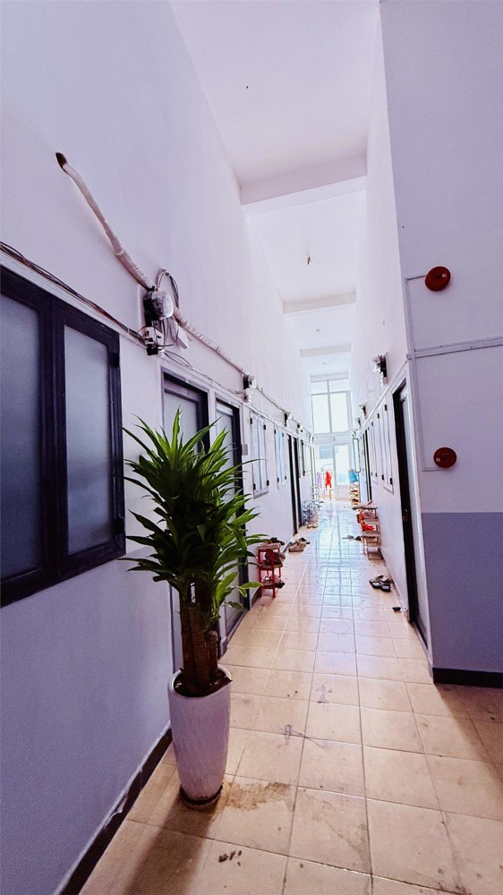 Căn Hộ Dịch Vụ 50 Phòng, Diện Tích 278M2, 6 Tầng, Quang Trung, P.8, Hẻm Xe Hơi, Giá Mềm