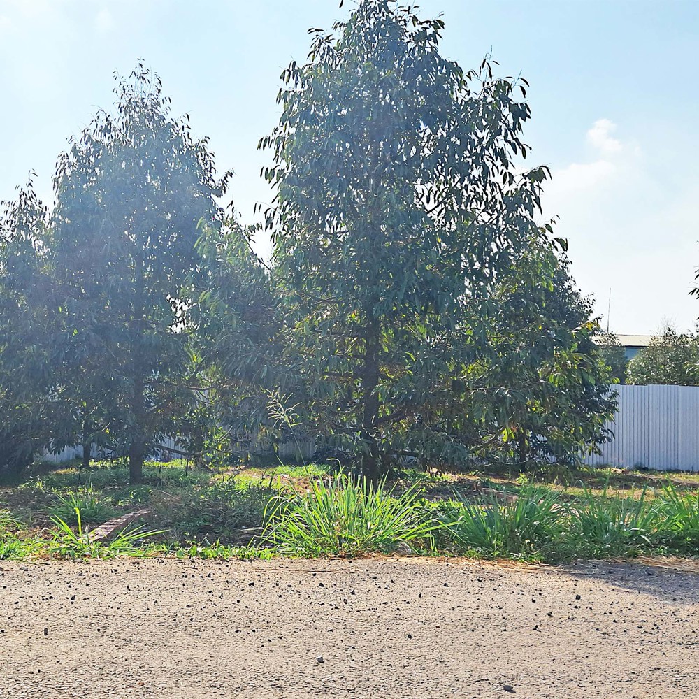 5X26 Mt Nhựa Lớn Ngay Dt770b Và Kdc Xuân Tân, Tp Long Khánh. Đn