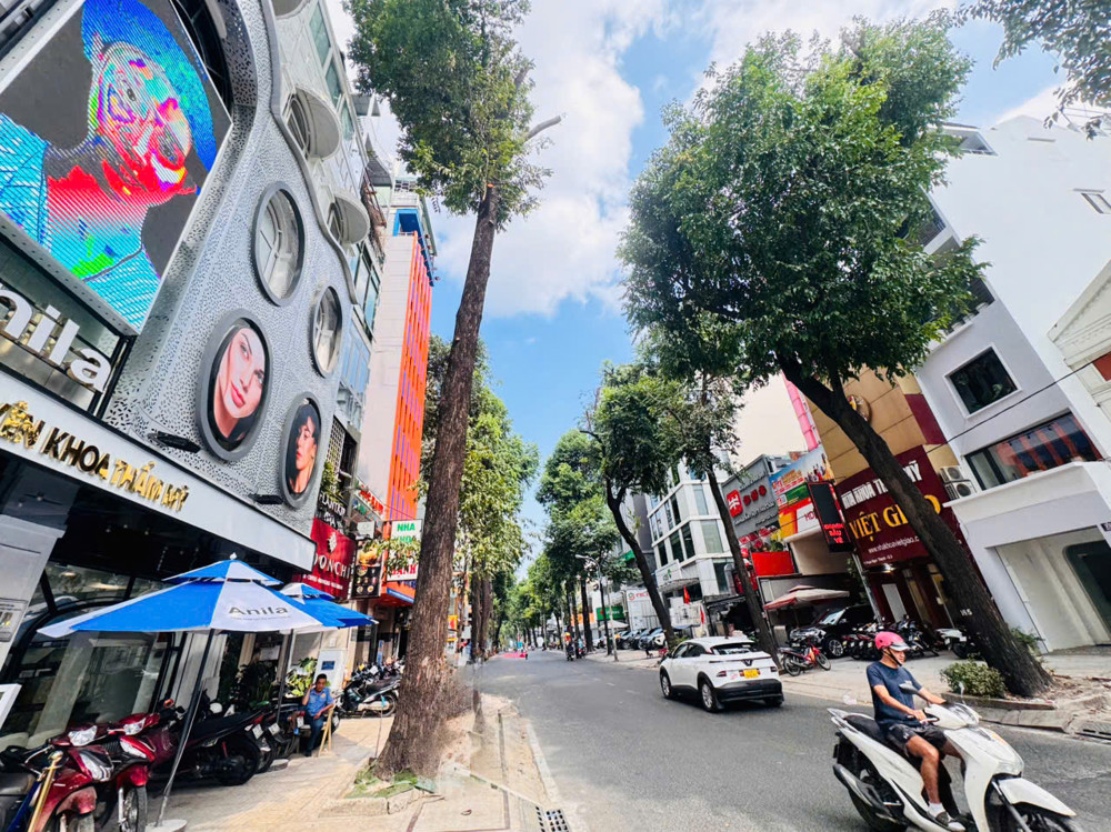 Bán Tòa Nhà 6 Tầng - Mặt Tiền Đ.phạm Ngọc Thạch, Quận 3- Dt 4,7M*22m- Khu Vip Khan Hiếm Nhà Bán