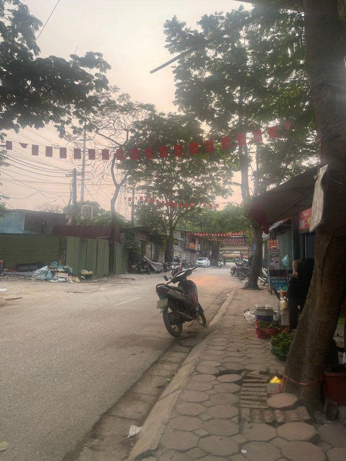 Tân Xuân – Mạch Kết Nối Vàng – Quỹ Đất Rộng Hiếm Gần Cầu Thăng Long