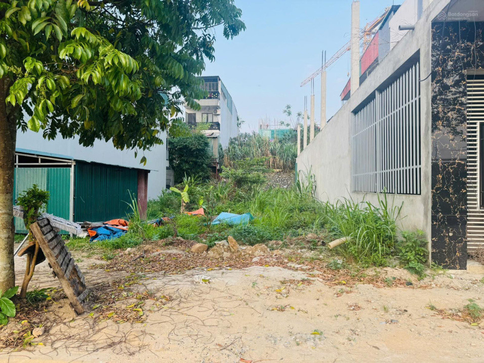 Bán Đất 146M2 Nhỉnh 3,3 Tỷ Bình Yên, Thạch Thất, Phù Hợp Mọi Mục Đích Vùa Ở Vùa Đầu Tu Kinh Doanh