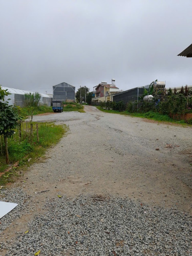 Chính Chủ Cho Thuê Nhà Nguyên Căn - 2 Mặt Tiền Phường 7, Tp Đà Lạt - Lâm Đồng