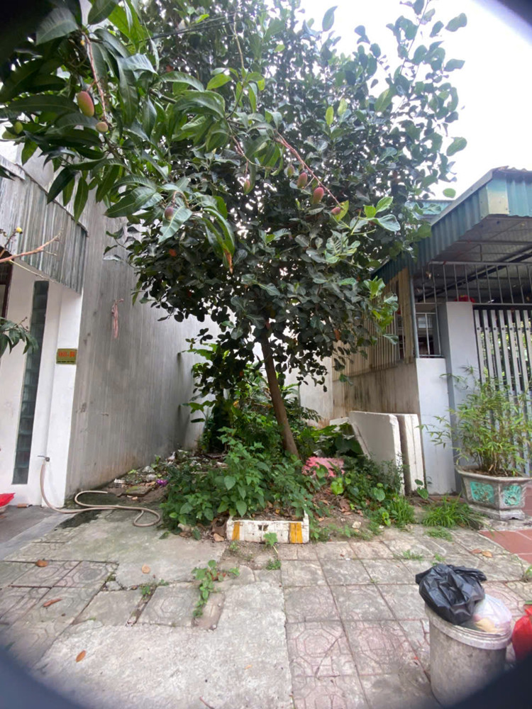 Chính Chủ Bán Lo Đất Tái Định Cư Vũ Phúc- Thái Bình Gần Trường Mầm Non