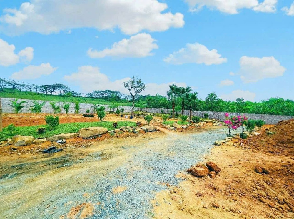 Sở Hữu Ngay Gần 1.000M² Đất Tại Đô Thị Vệ Tinh Hòa Lạc