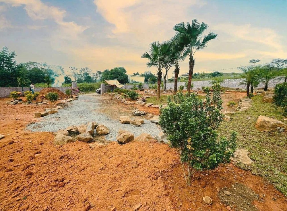 Sở Hữu Ngay Gần 1.000M² Đất Tại Đô Thị Vệ Tinh Hòa Lạc