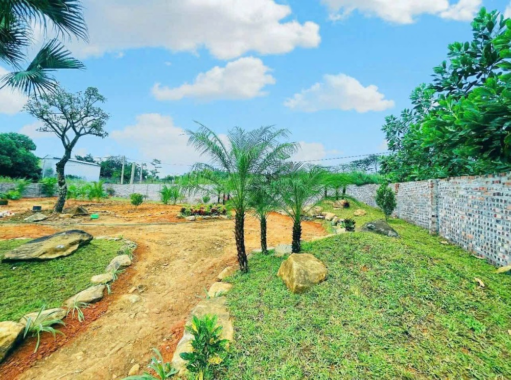 Sở Hữu Ngay Gần 1.000M² Đất Tại Đô Thị Vệ Tinh Hòa Lạc